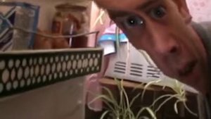 Я НЕ ПОНЯЛ, ЧТО ВЫ ДЕЛАЕТЕ В МОЁМ ХОЛОДИЛЬНИКЕ — Геннадий Горин жмых эффект