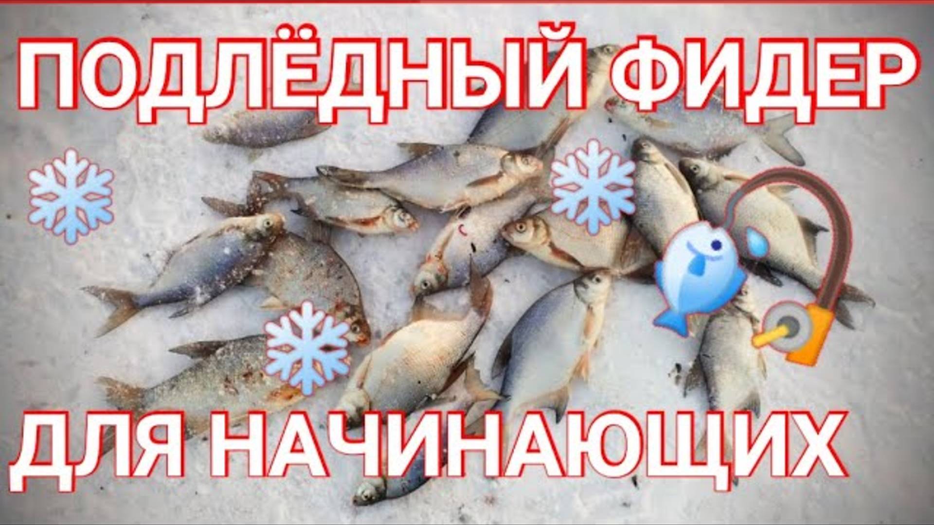 Подлёдный фидер для начинающих. Снасти, прикормка, место ловли. смотреть онлайн