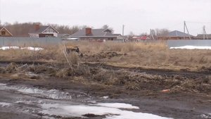 Мой фильм  Окрестности села Кремёнки, Ульяновская область