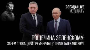 Пощёчина Зеленскому: зачем словацкий премьер Фицо прилетал в Москву?