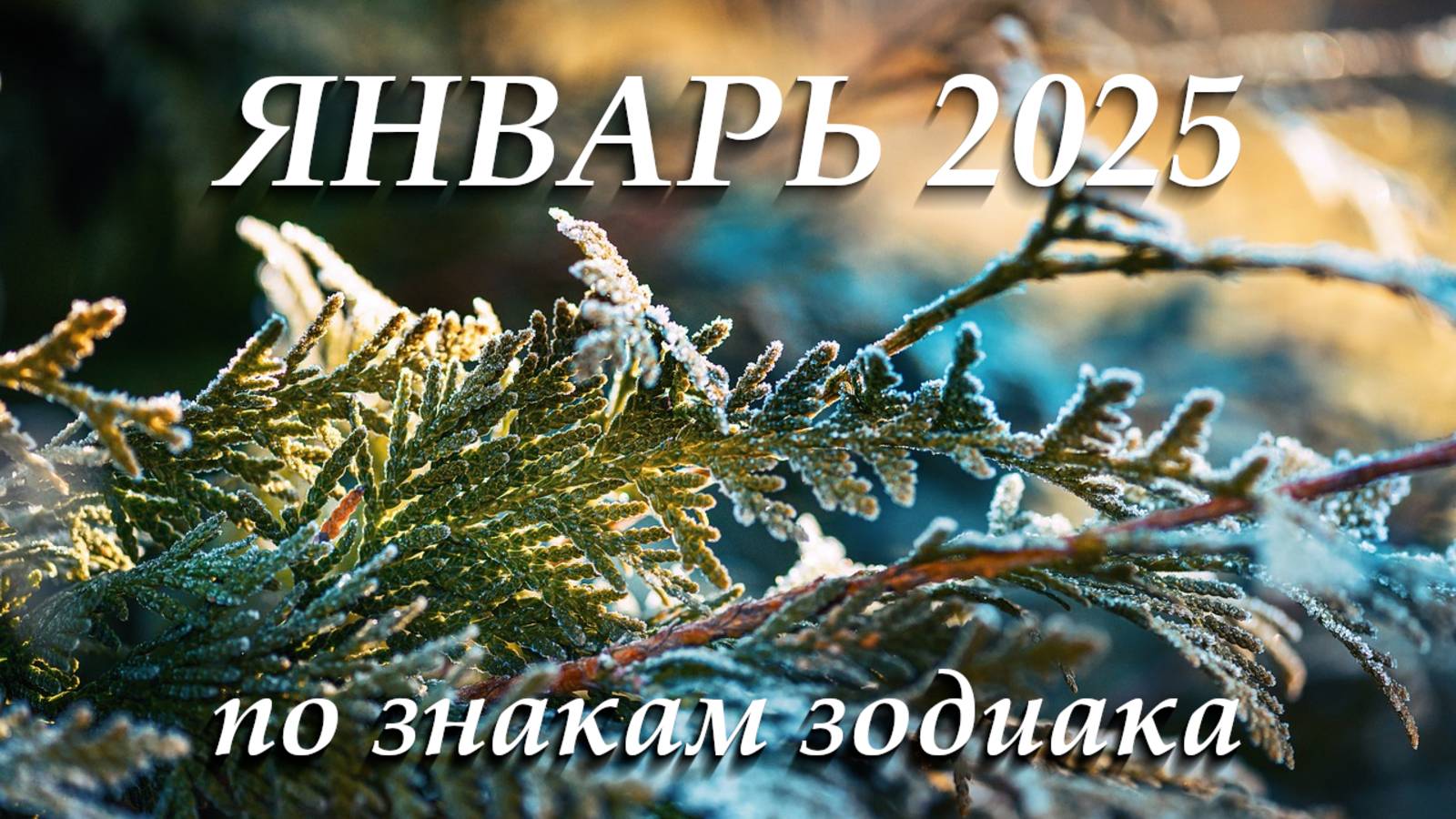 Январь 2025. Астрологический прогноз. Знаки зодиака смотреть онлайн