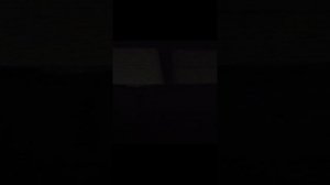 проба 1. .mp4