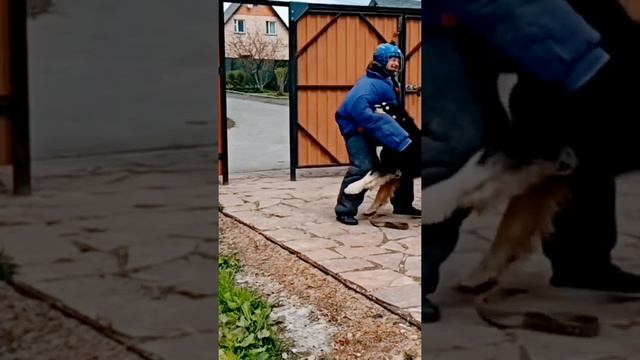 Как пуля. Один. смотреть онлайн