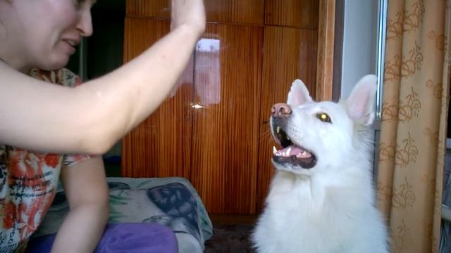 Команда "голос" выполняемая шопотом смотреть онлайн