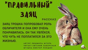 Правильный заяц