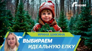 Елка, сосна или пихта: какое живое дерево выбрать для встречи Нового года и как его нарядить?