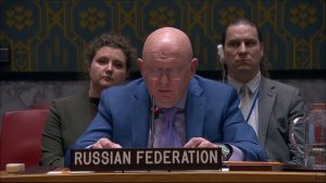 Statement by Permanent Representative Vassily Nebenzia at a UNSC Briefing on Sudan