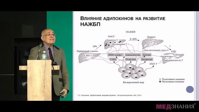 Ожирение и неалкогольная жировая болезнь печени – две стороны одной медали