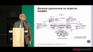 Ожирение и неалкогольная жировая болезнь печени – две стороны одной медали