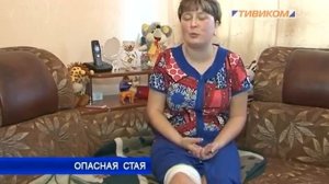 Улан- Удэ. Опасная стая