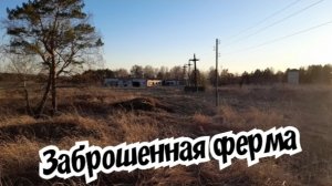 Не ожидал найти столько металла на заброшенной ферме