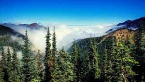 Discover the Greatest Natural Wonders of the USA #nature