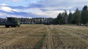 рсм161#shorts