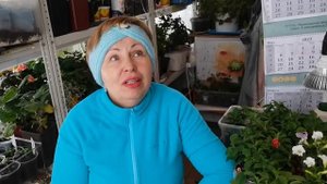 НЕ выполнила свои СОВЕТЫ по ПЕТУНИИ! Что из этого вышло?