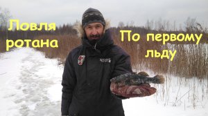 Ловля Ротана по Первому льду!