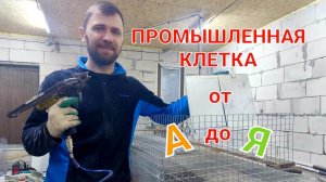 ПРОМЫШЛЕННАЯ МАТОЧНАЯ КЛЕТКА СВОИМИ РУКАМИ