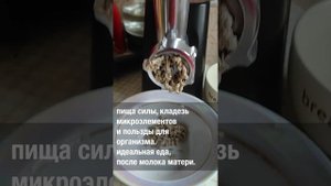 Живой овсяный кисель по Зеланду. пища силы.
