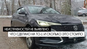 Неисправностей не выявлено: что сделано в рамках ТО-1 и сколько это стоило