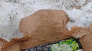 Лейка в теплице больше не нужна. Уход за газоном. Не все хорошо с хвойными. Обработка в саду