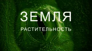 Земля.  Растительность.  Серия 3