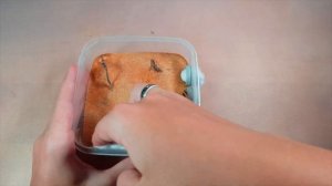 Anaplolepis gracilipes//сумасшедшие муравьи//макро.  #26