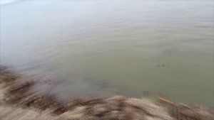Сом Сазан Зимой в Астраханской области