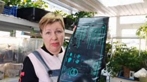 Хотите вырастить крупный, сладкий ЛУК из семян- соблюдайте пять обязательных правил