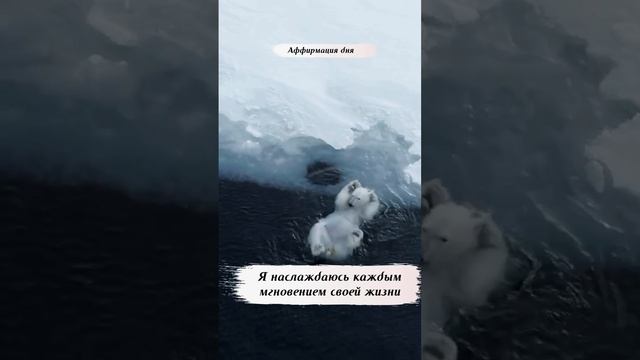 Аффирмация дня