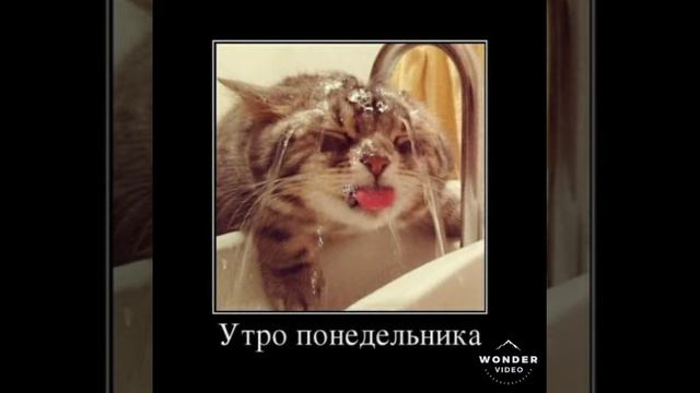 Отборные мемчики (сладкие как мед!)