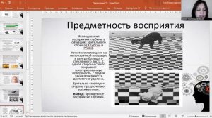Проблема врожденного и приобретенного в восприятии. Онтогенетическое развитие восприятия.