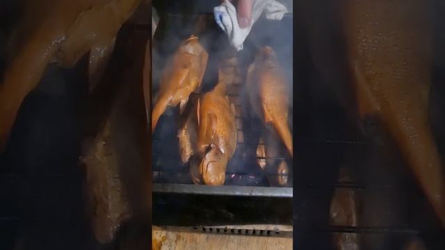 окунь горячего копчения, свеже пойманый да на природе, красота #fishing #рыбалка #горячее копчение