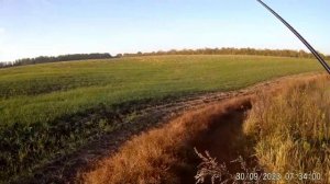 30 сентября 2023. Безмотылка осенью! Плотва и окунь на боковой кивок! Mifine Draco 800.