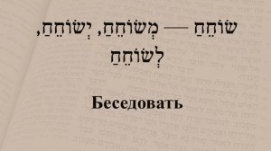 Глаголы 236 - 240. Спряжение глаголов в предложениях. Изучение иврита.