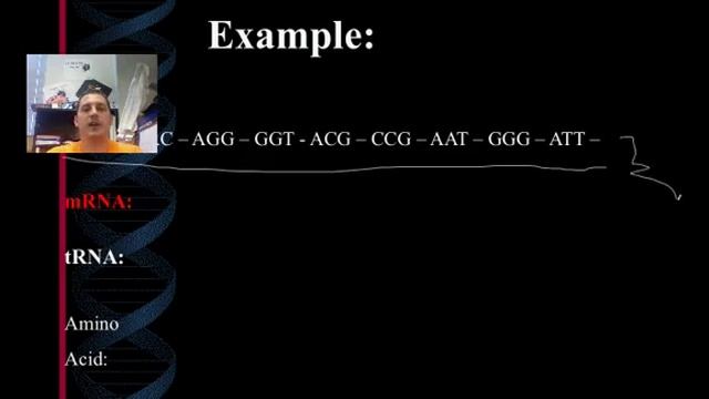 Protein Synthesis Podcast смотреть онлайн