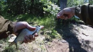 Рыбалка на поплавок. Подлещик да на удочку)