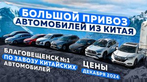 БОЛЬШОЙ ПРИВОЗ АВТОМОБИЛЕЙ ИЗ КИТАЯ❗RAV4 | CAMRY | AVANCIER | VENZA | ELANTRA❗ЦЕНЫ ДЕКАБРЯ 2024