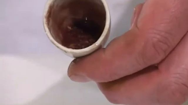 Фараонова змея