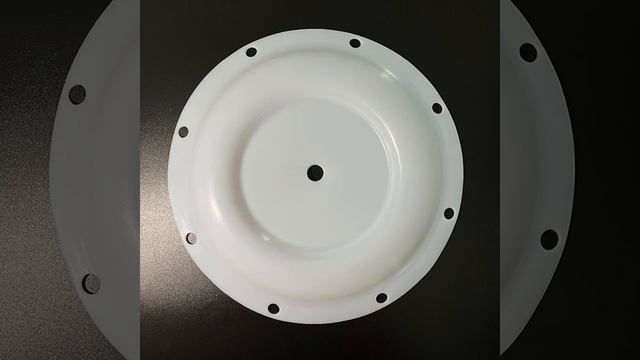 PTFE Diaphragm