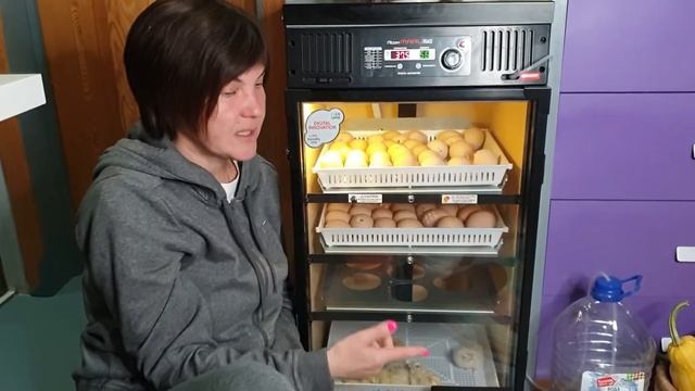 Описание инкубатора Rcom MARU 190 Delux смотреть онлайн