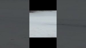 Надоело отдыхать....Я решил вернуться домой на день раньше