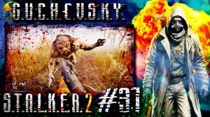 S.T.A.L.K.E.R. 2: Прохождение #31. ЧАС АДА НА БОЛОТАХ (Часть 1), НОЧЬ, Пси-собаки, Контролер, Химера