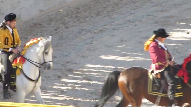 Выступление школы Роблес в Гандии смотреть онлайн