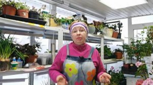 Календарь садово- огородных работ на ЯНВАРЬ /Пора начинать сеять/ Осторожно- СНЕГ!