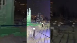 Новый Уренгой, 2024