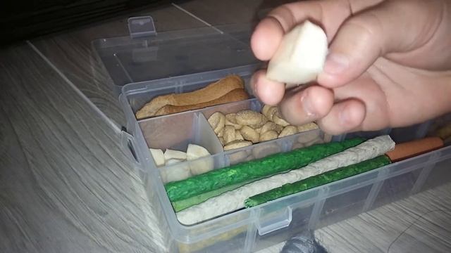 Хранение вещей моих собак)))Часть 1 смотреть онлайн