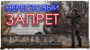 Нерестовый запрет. Герой нашего времени.