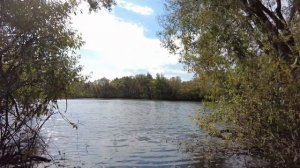 Соха, Рязанская область | Усадьба Фон Дервиза