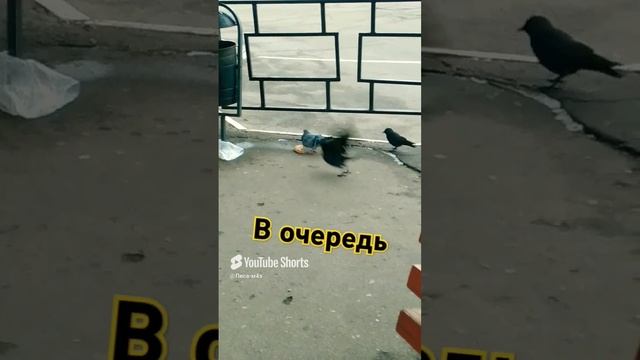 Всё в очередь)