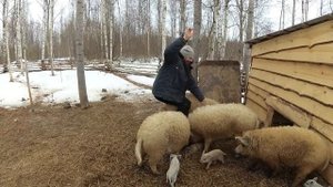 КЛИП: МОЯ ФЕРМА - МОЙ ДОМ / ХУТОР ЗАГАЙКИ