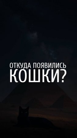 Вопрос нейросети. Откуда появились коты?